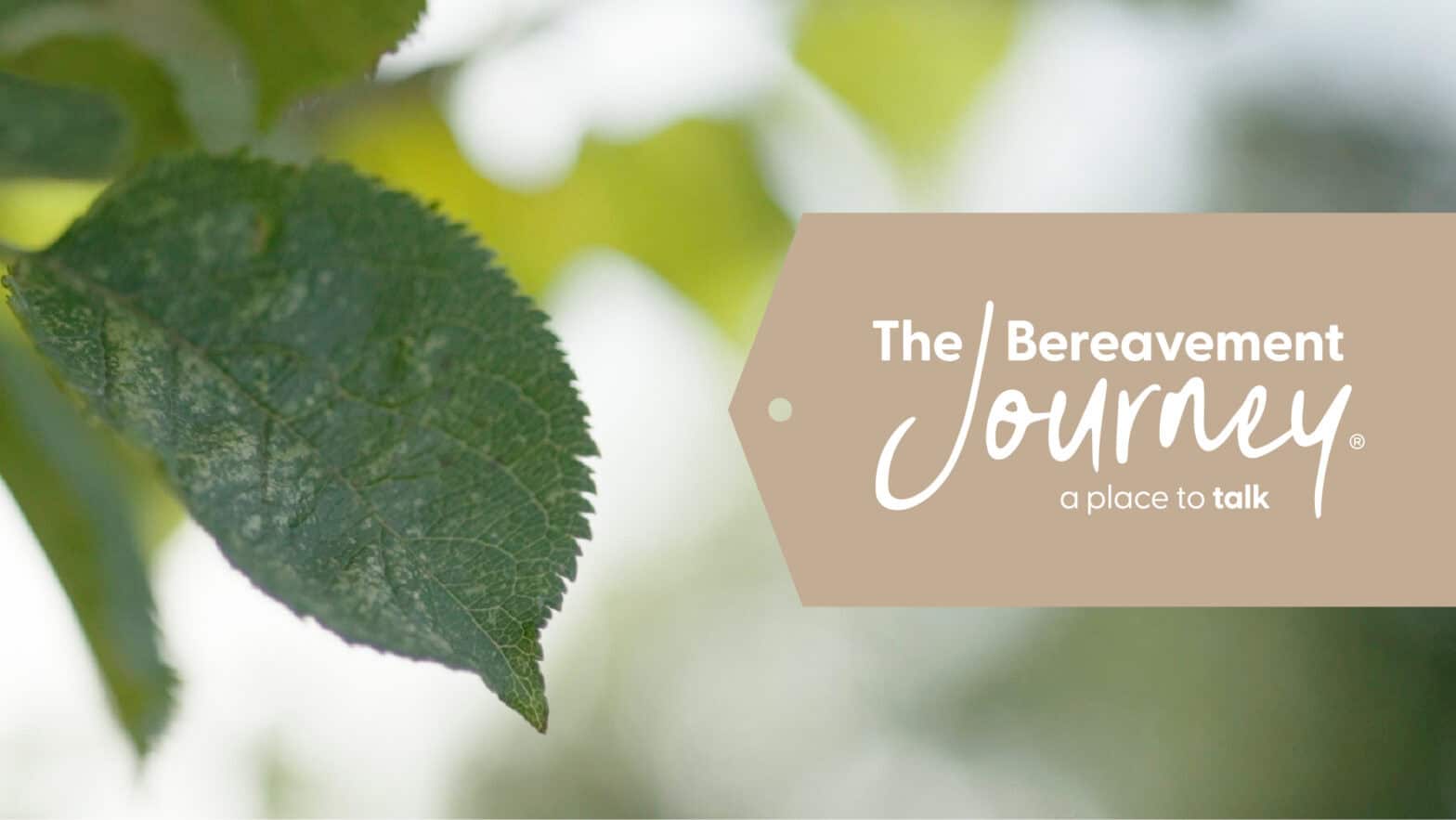 A leaf of a tree in focus on the left of the image - to the right, a label with the text: The Bereavement Journey: a place to talk.