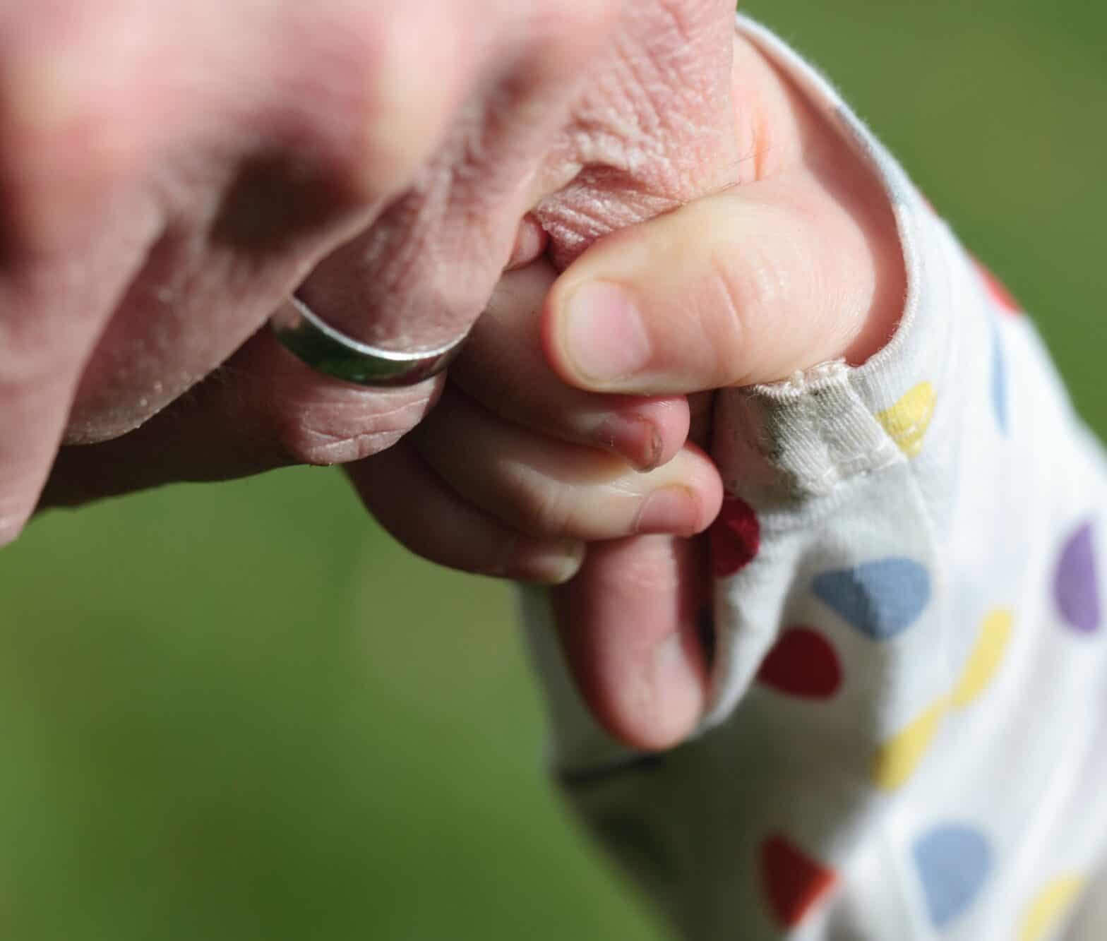Close up of child’s hand holding an adult’s