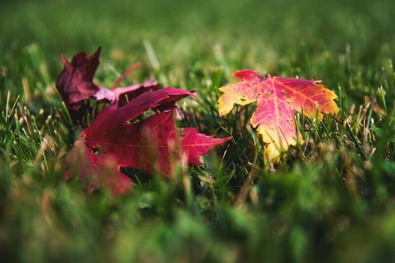 Why churches must be willing to change and adapt Why churches must be willing to change and adapt