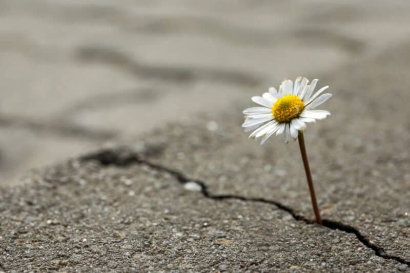 How to nurture disciples How to nurture disciples