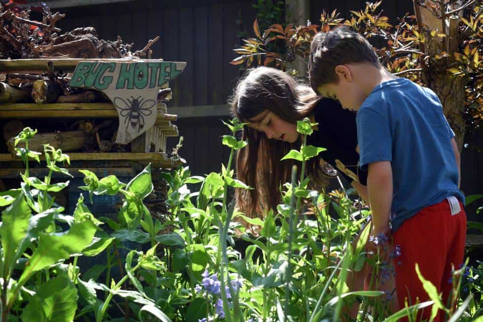 Children outside a church which has plants and bug boxes