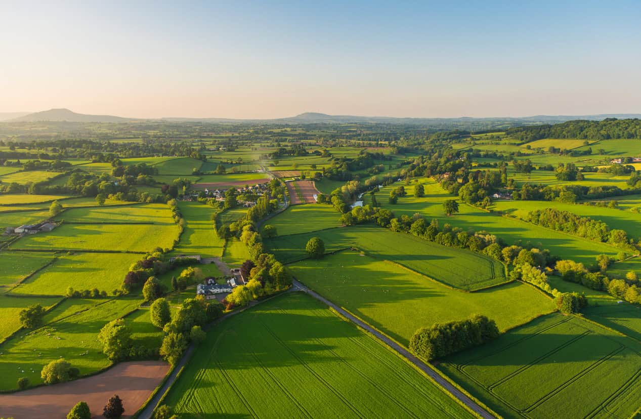 Green rural landscaping with trees and the horizon in the background with a hazy sky