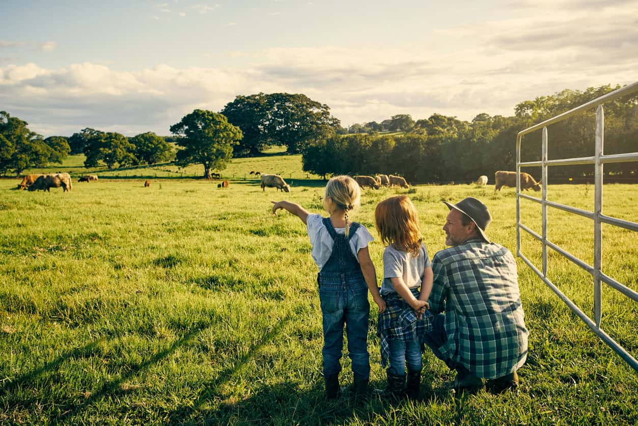 A rich green field with two young girls and their Father pointing to cows